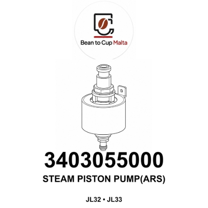 Picture of STEAM PISTON PUMP (ARS)