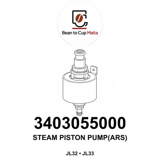 Picture of STEAM PISTON PUMP (ARS)